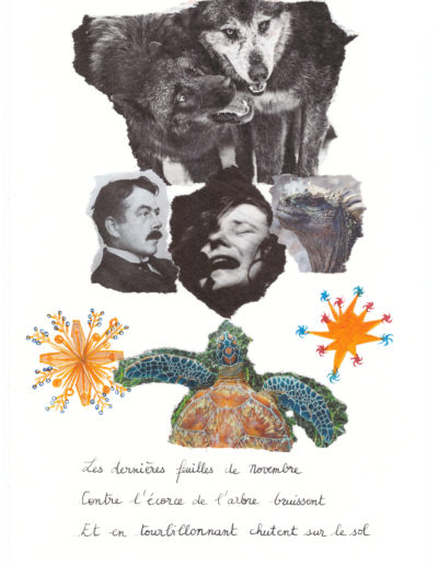 collage papier Béatrice Derval