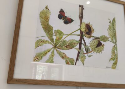 9 - Aquarelle - Marronnier et papillons